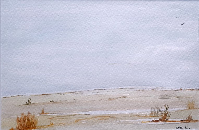 Amora Nel - Desert